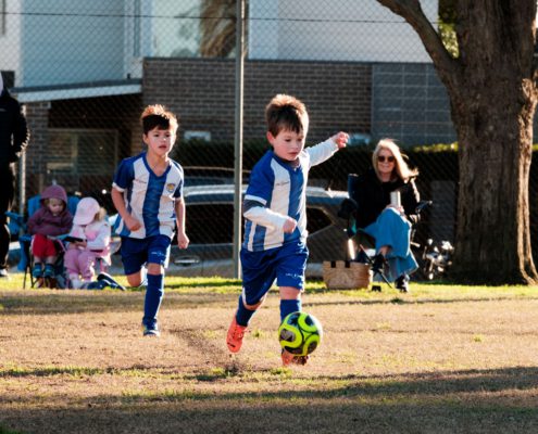 U6C_rep_2